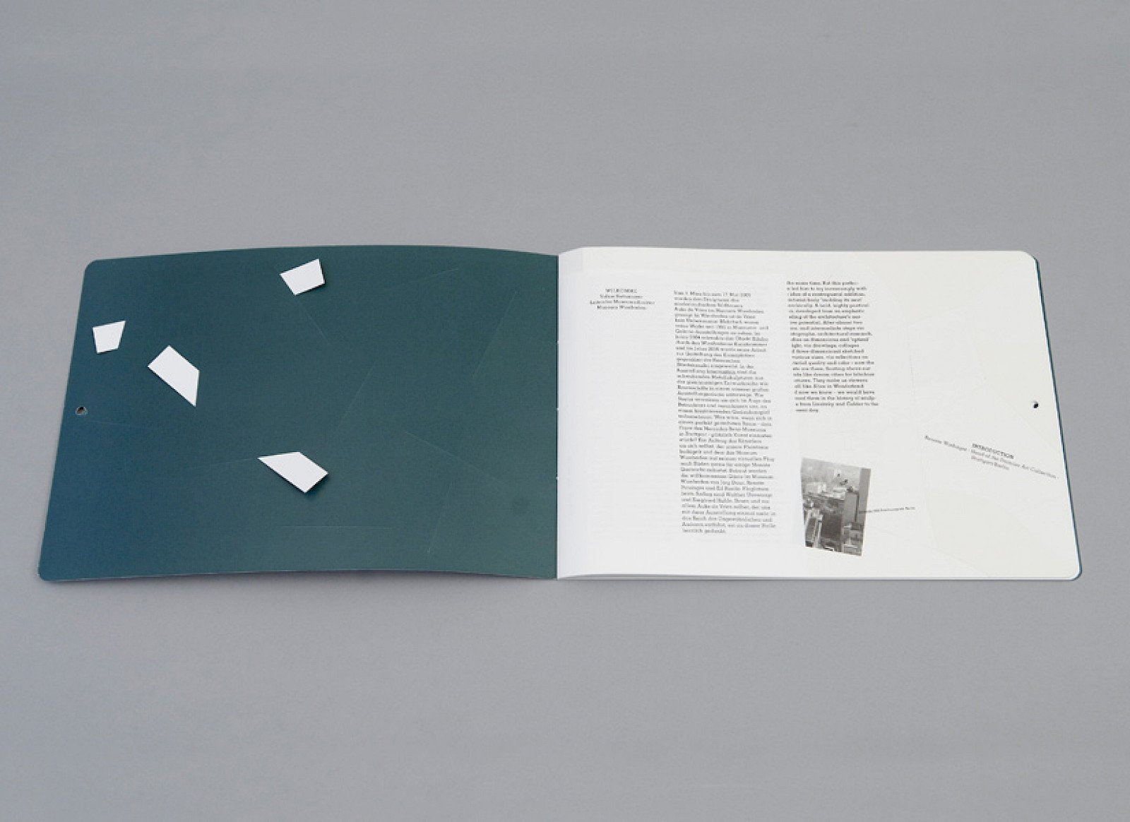 SELF PUBLISHED